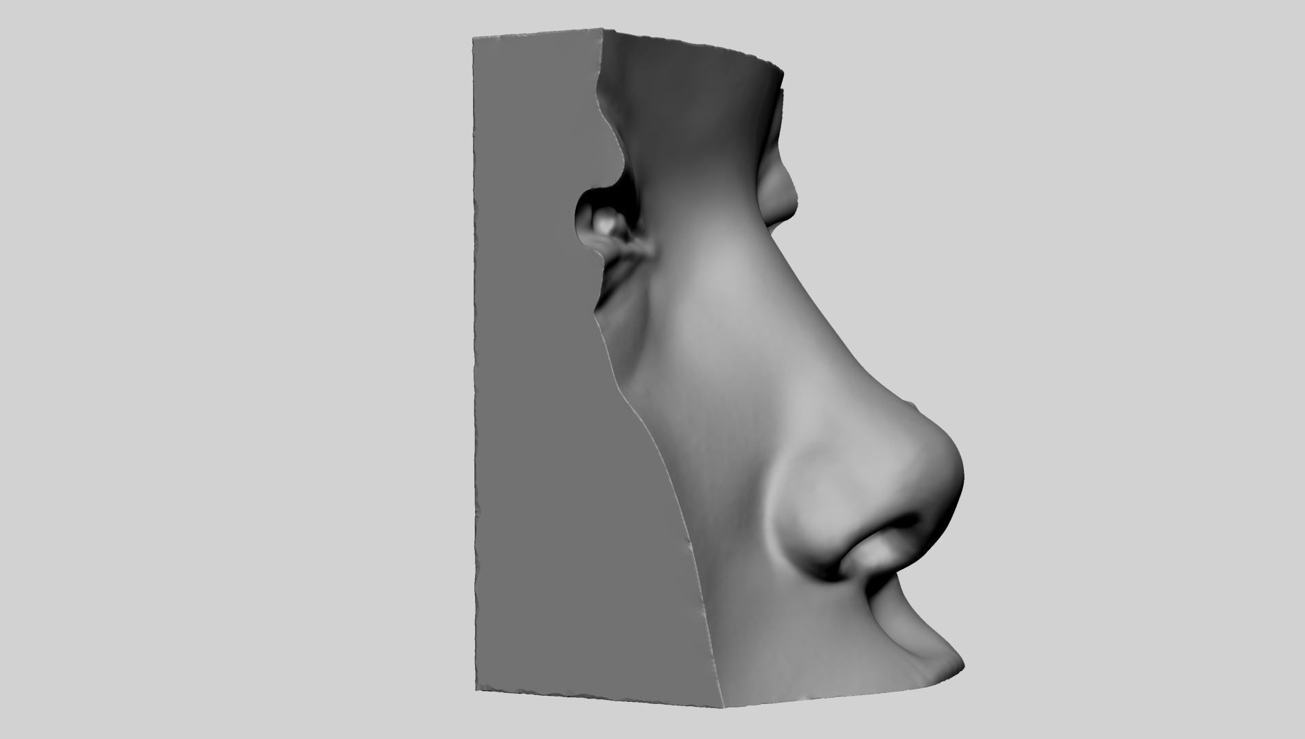 Lip Ear Eye Nose 3D print model_7
