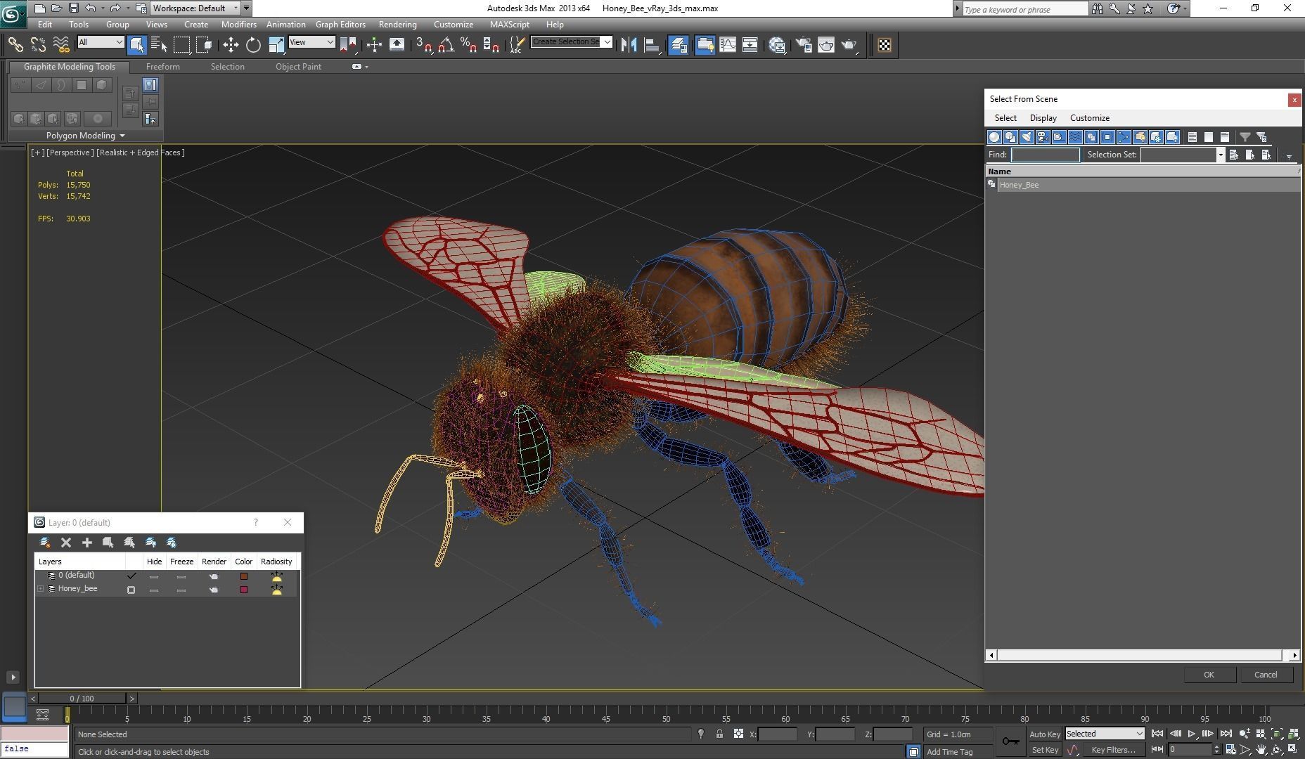 Honey Bee 3D model_10