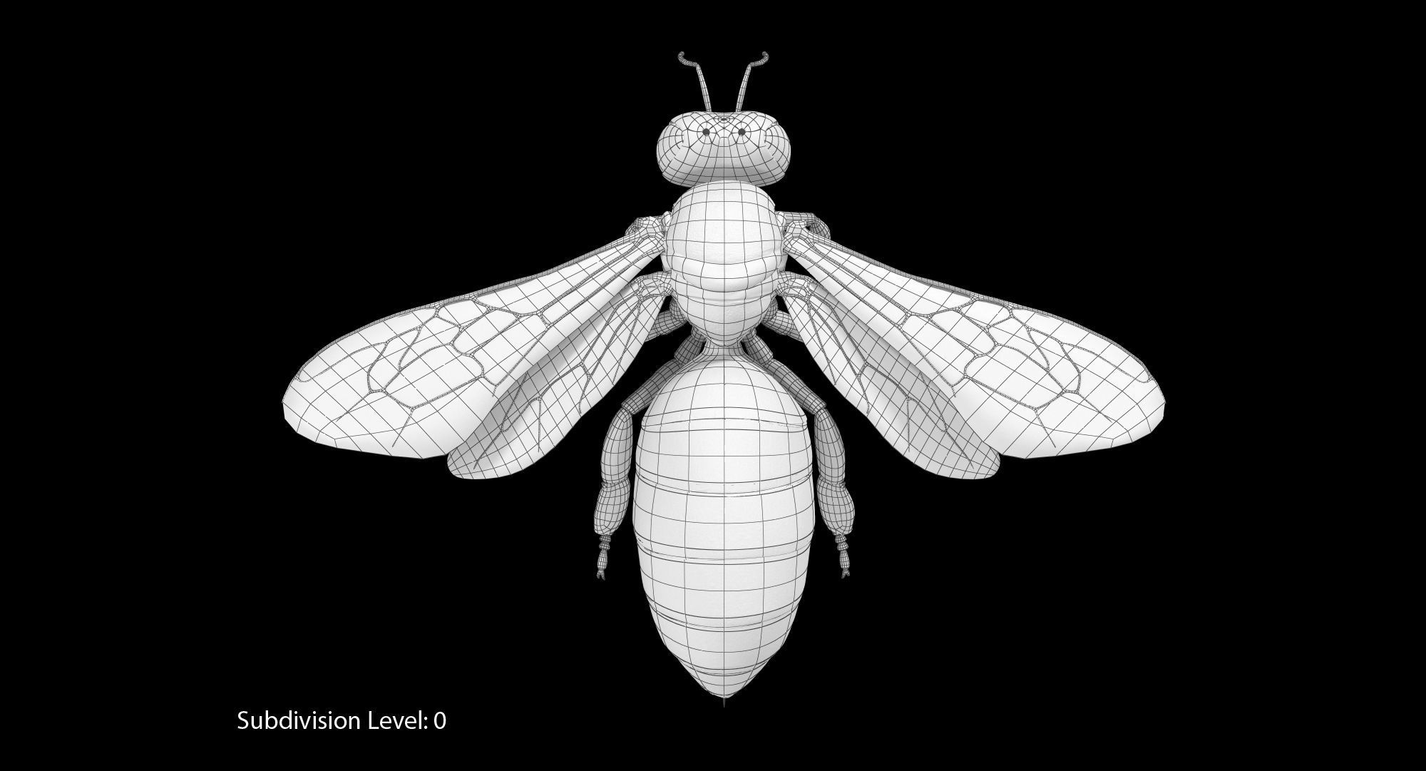 Honey Bee 3D model_21