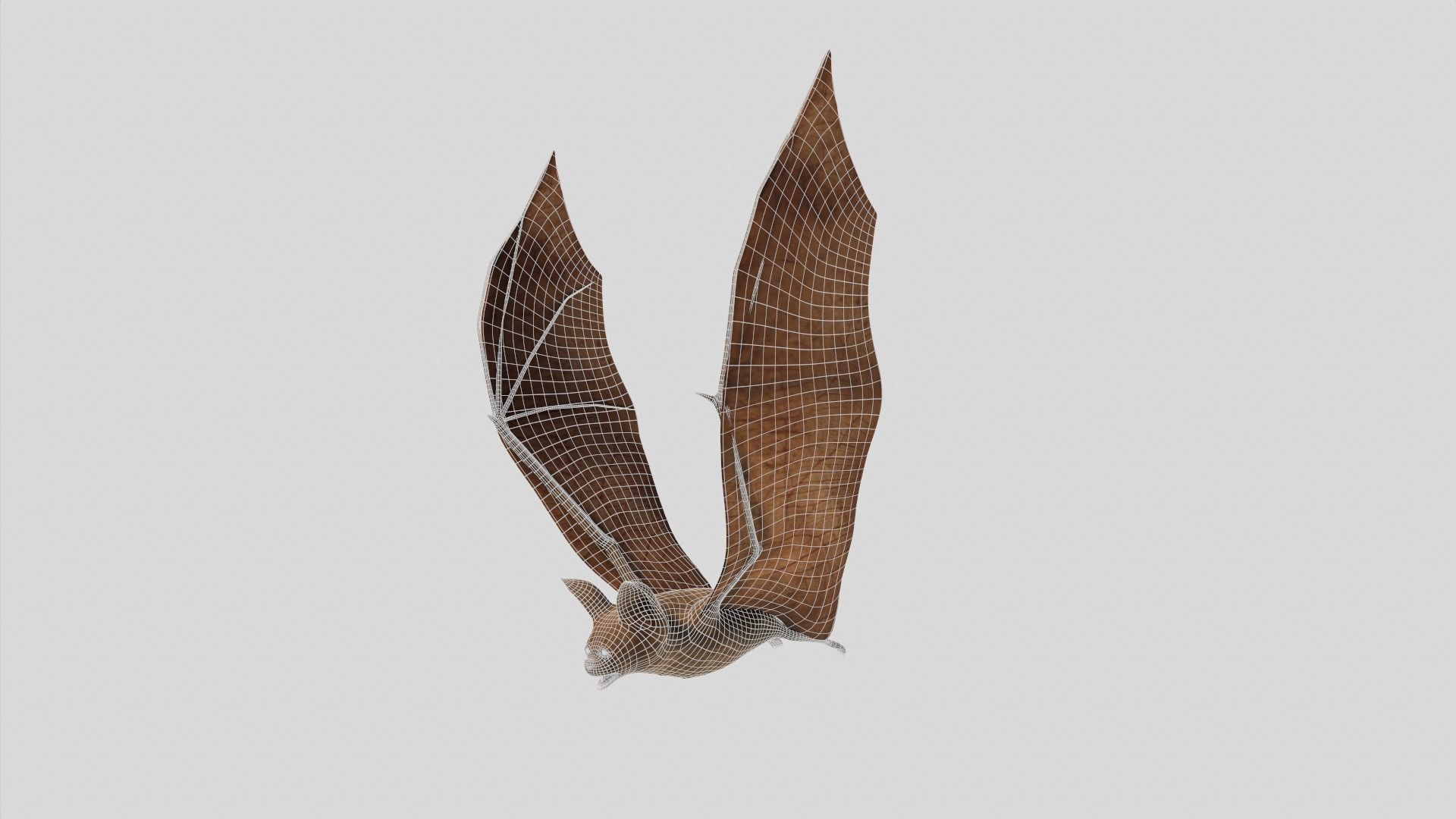 Vampire Bat Low-poly 3D model_13