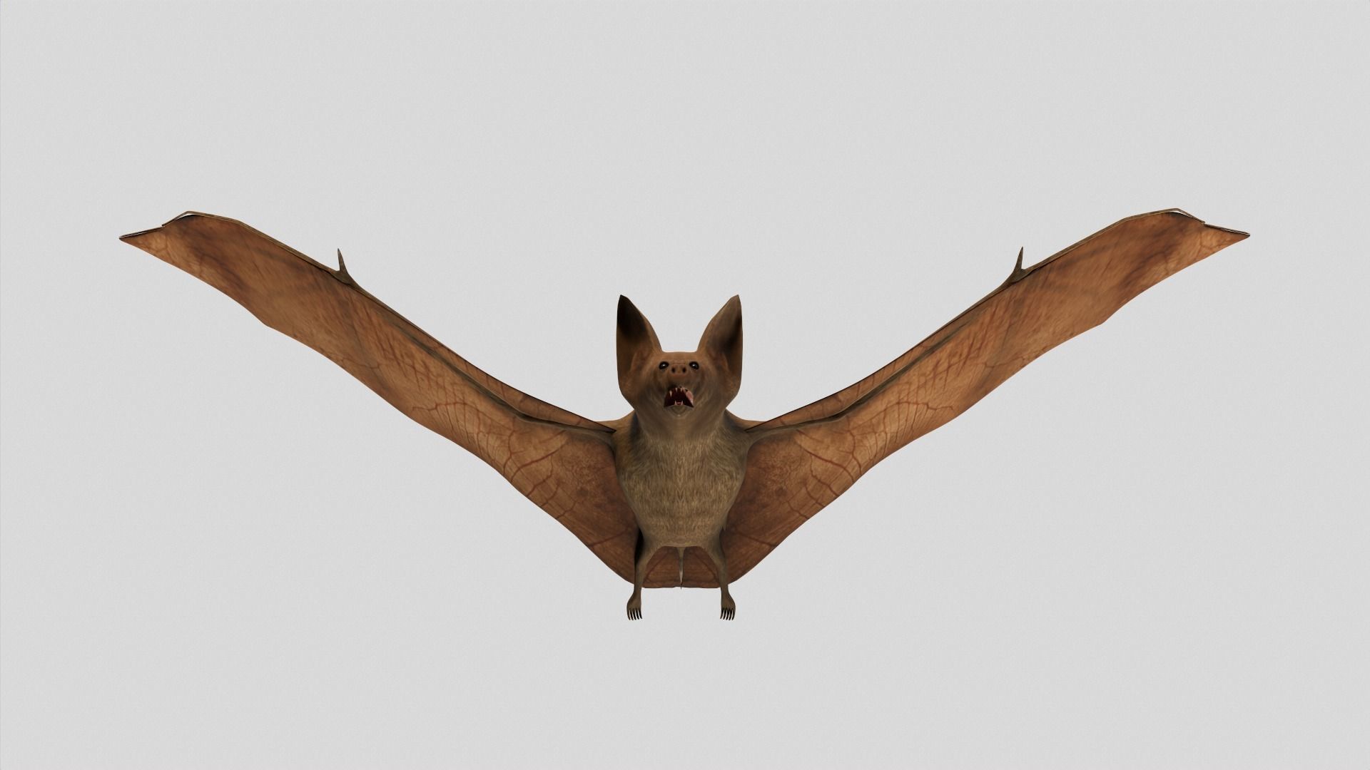 Vampire Bat Low-poly 3D model_2