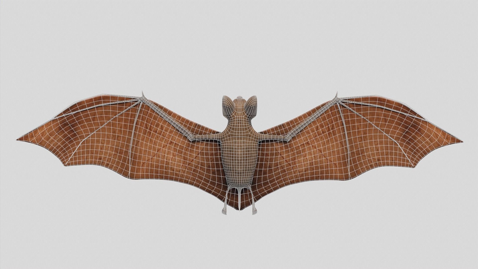 Vampire Bat Low-poly 3D model_9