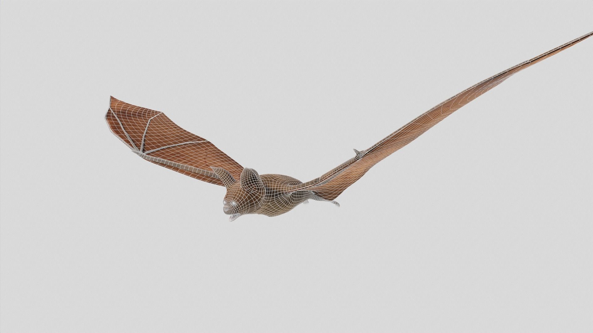 Vampire Bat Low-poly 3D model_4