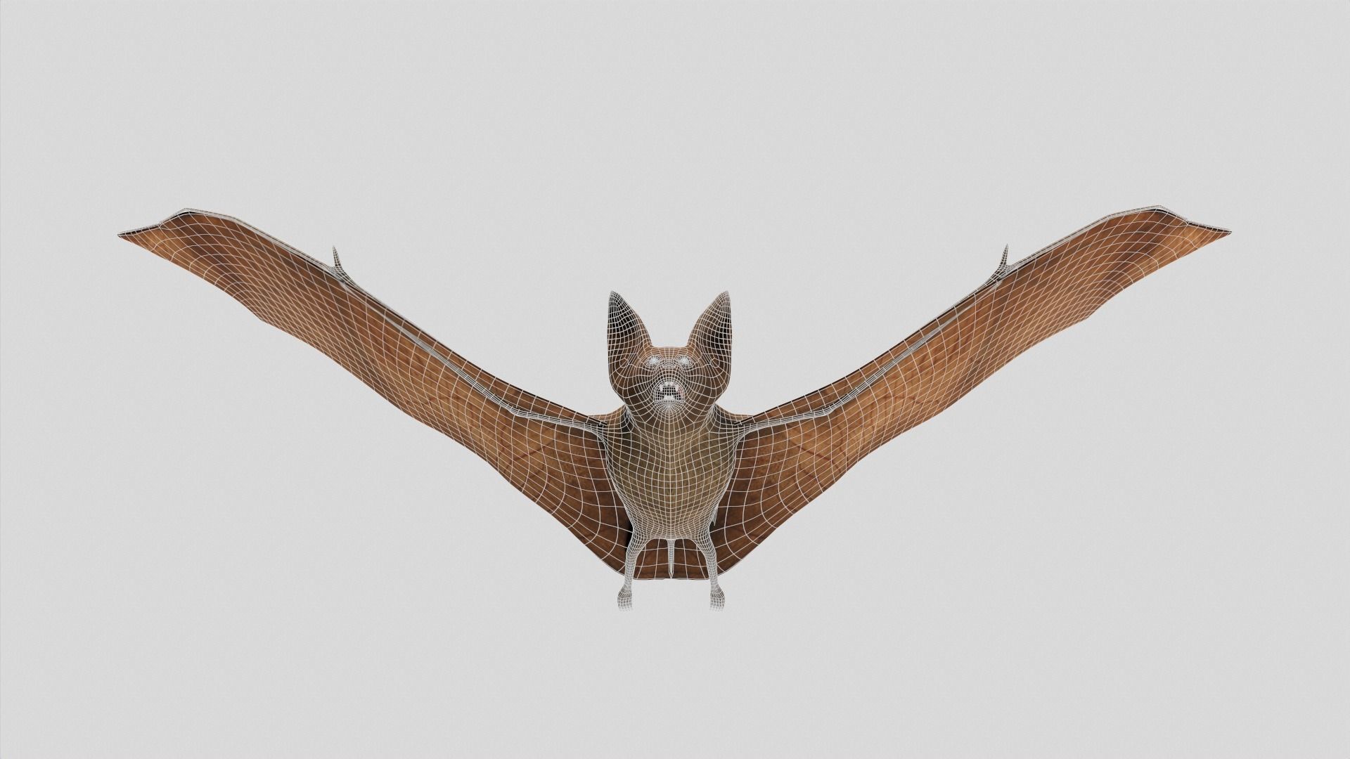 Vampire Bat Low-poly 3D model_8