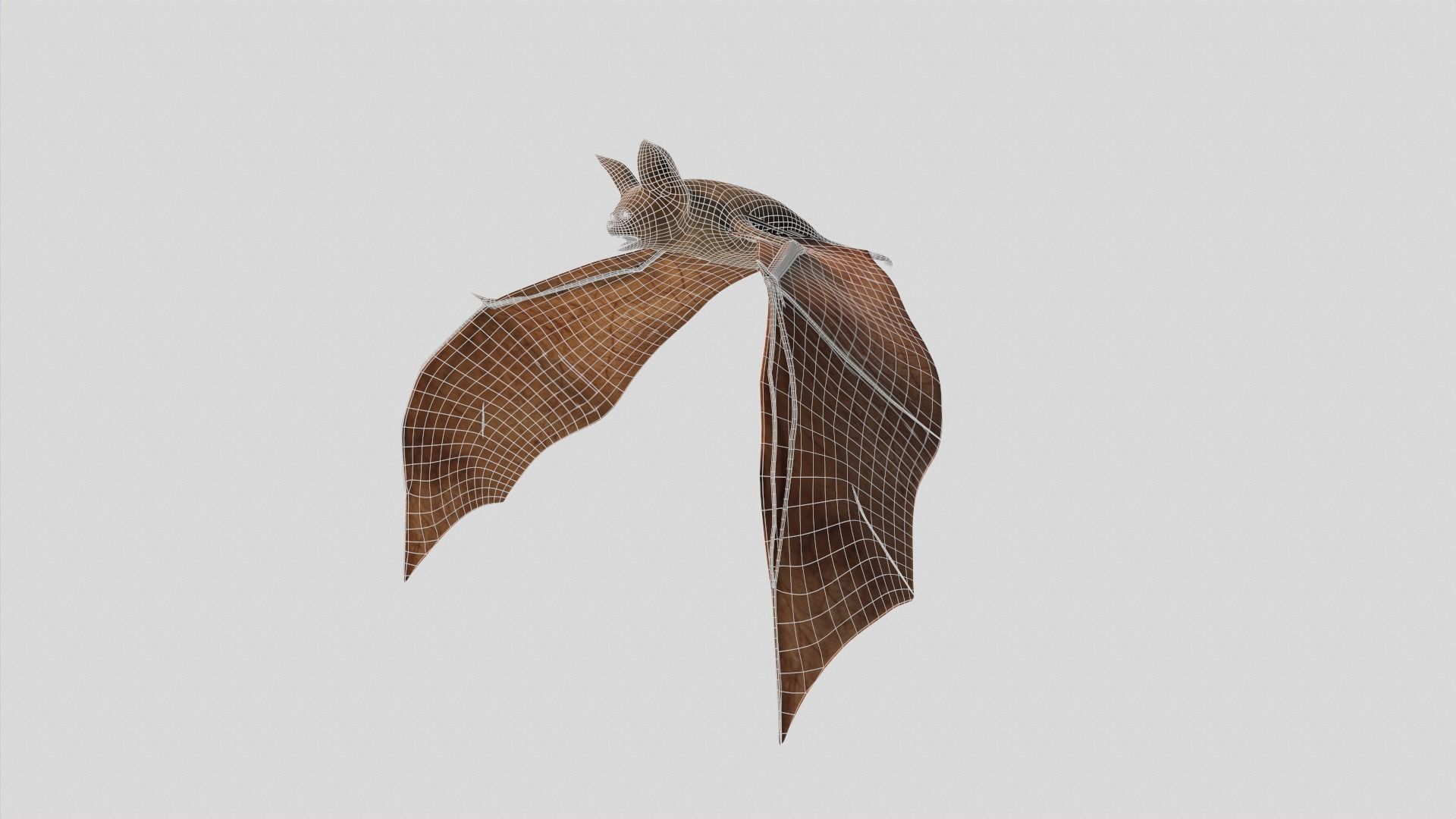 Vampire Bat Low-poly 3D model_12