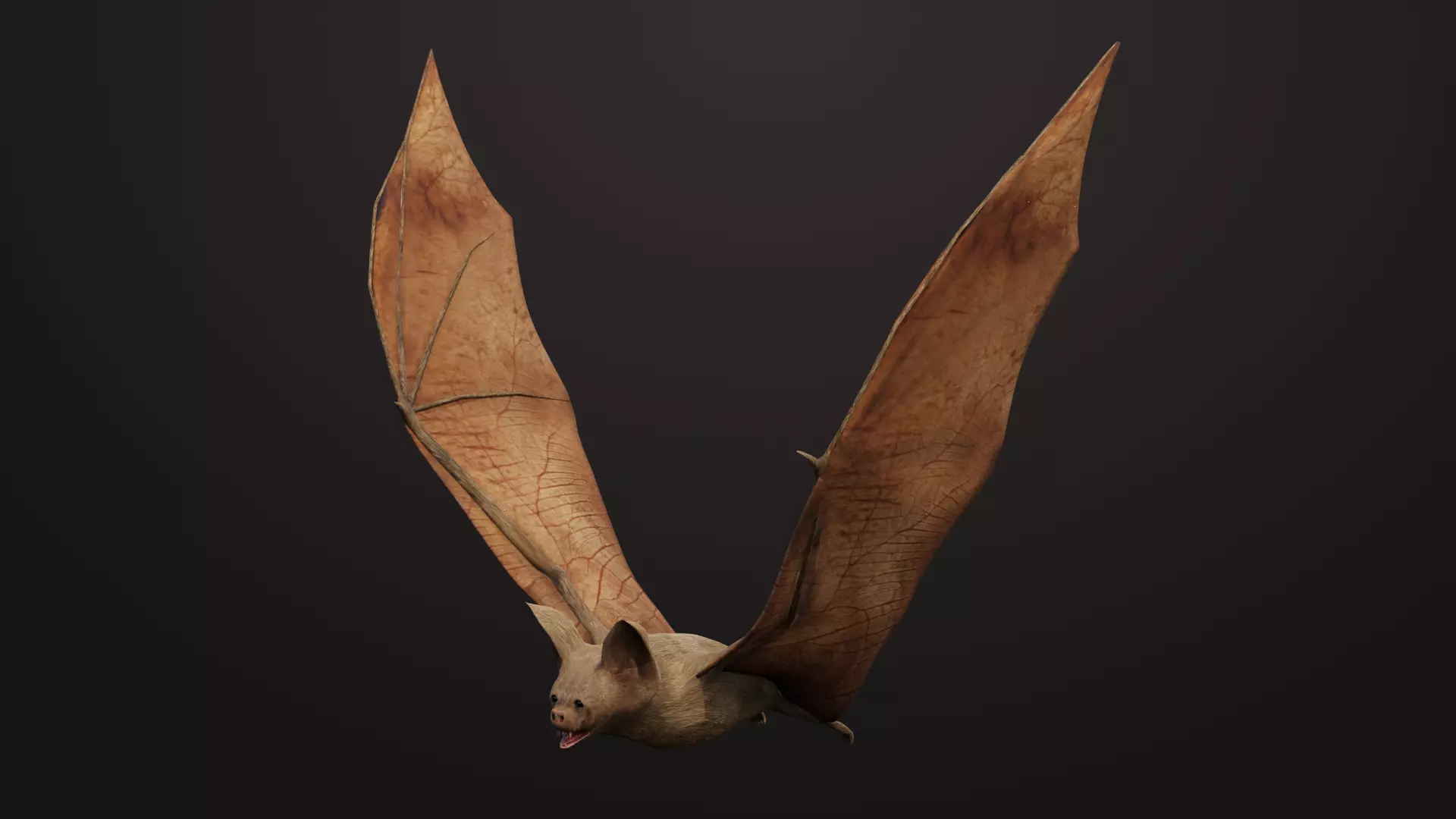 Vampire Bat Low-poly 3D model_0