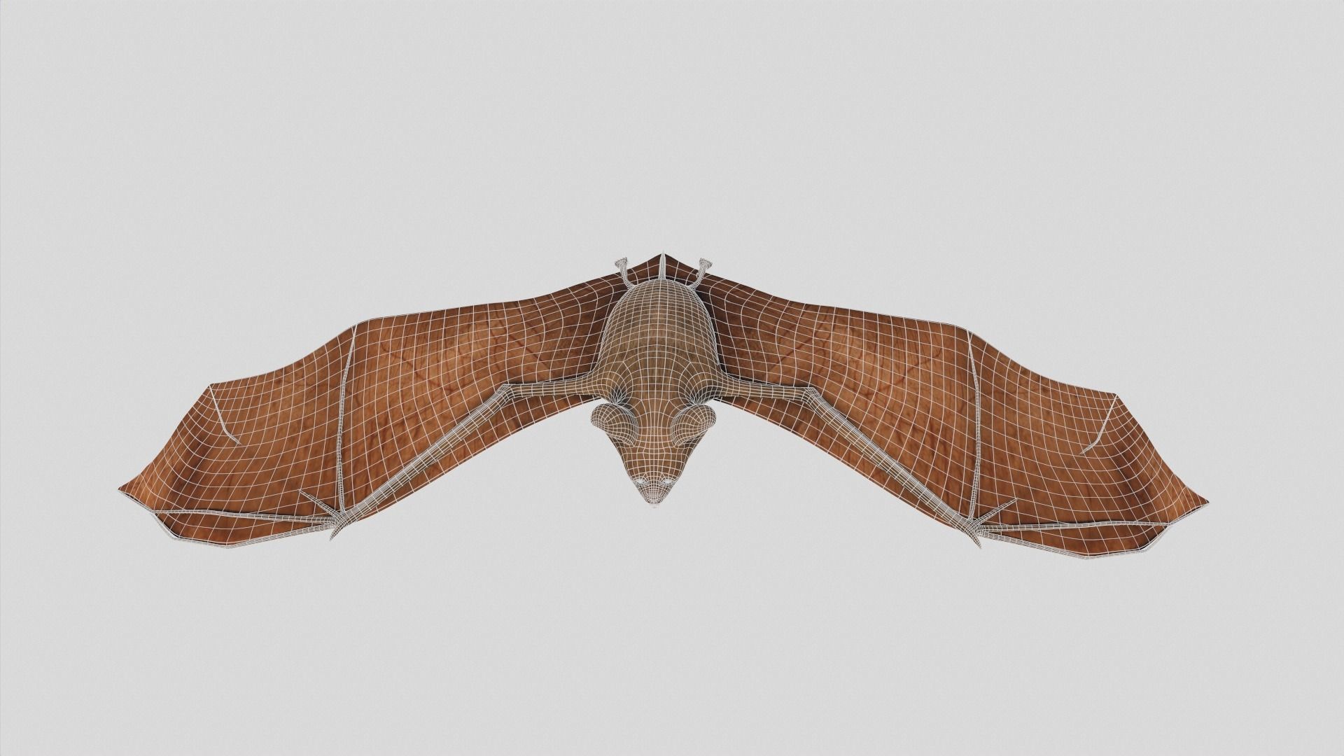 Vampire Bat Low-poly 3D model_11