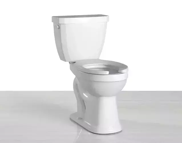 toilet elongated seat