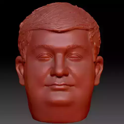 Volodymyr Groysman Head 3D print model