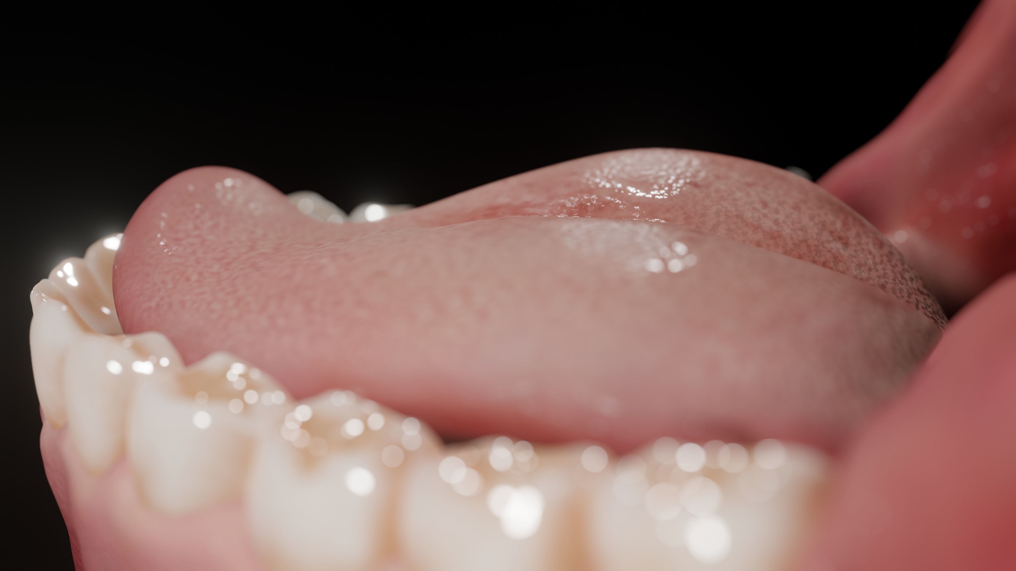 Gums with teeth mouth model  rigged textured and animated 3D model_13