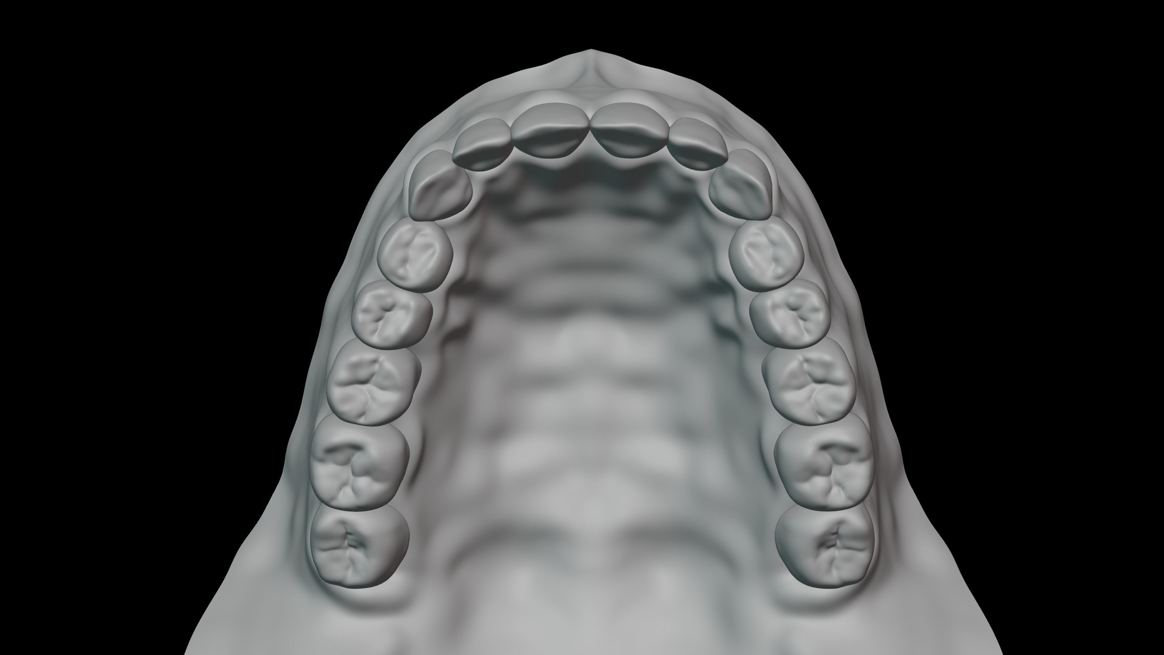 Gums with teeth mouth model  rigged textured and animated 3D model_10