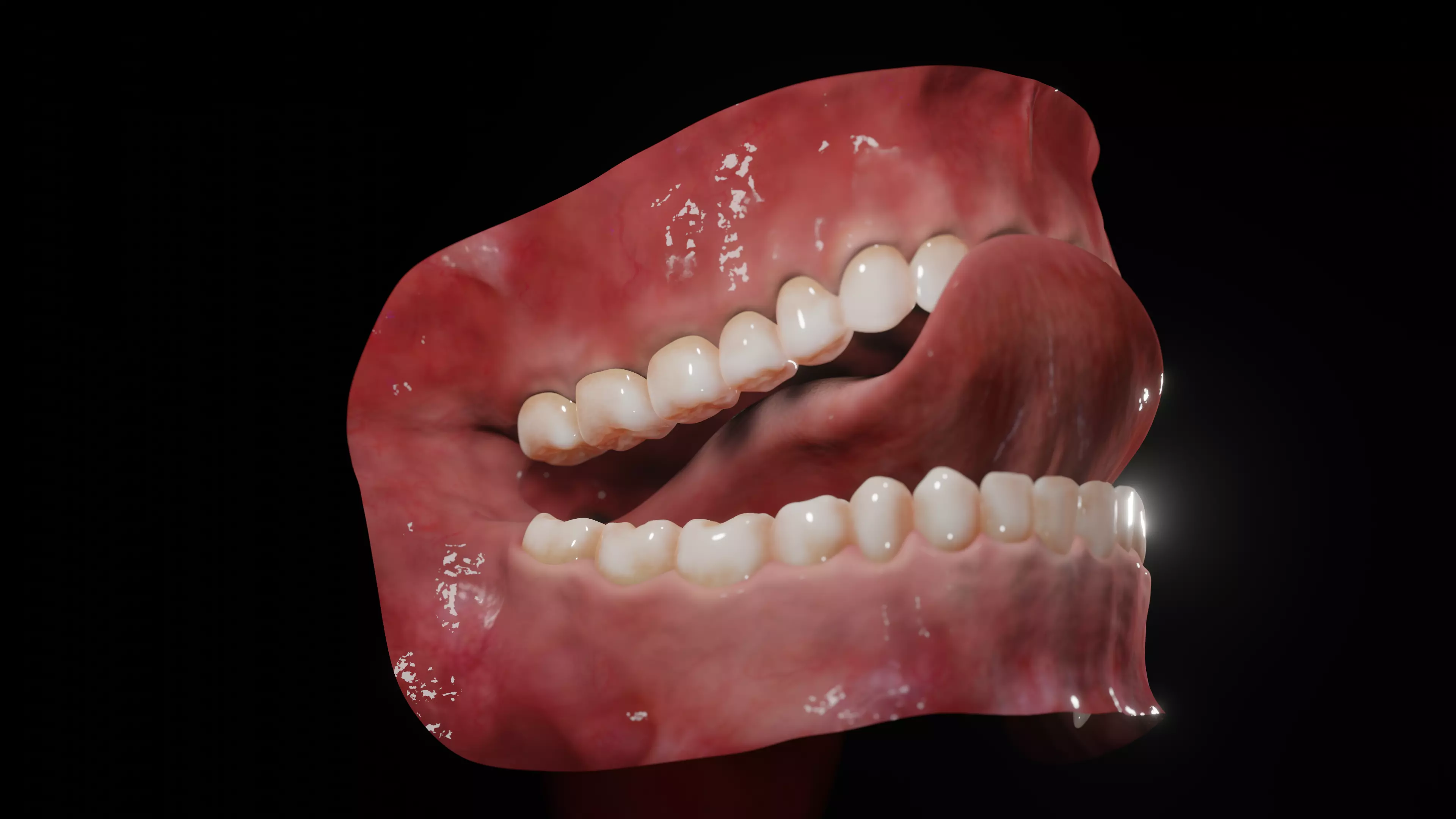 Gums with teeth mouth model  rigged textured and animated 3D model_0