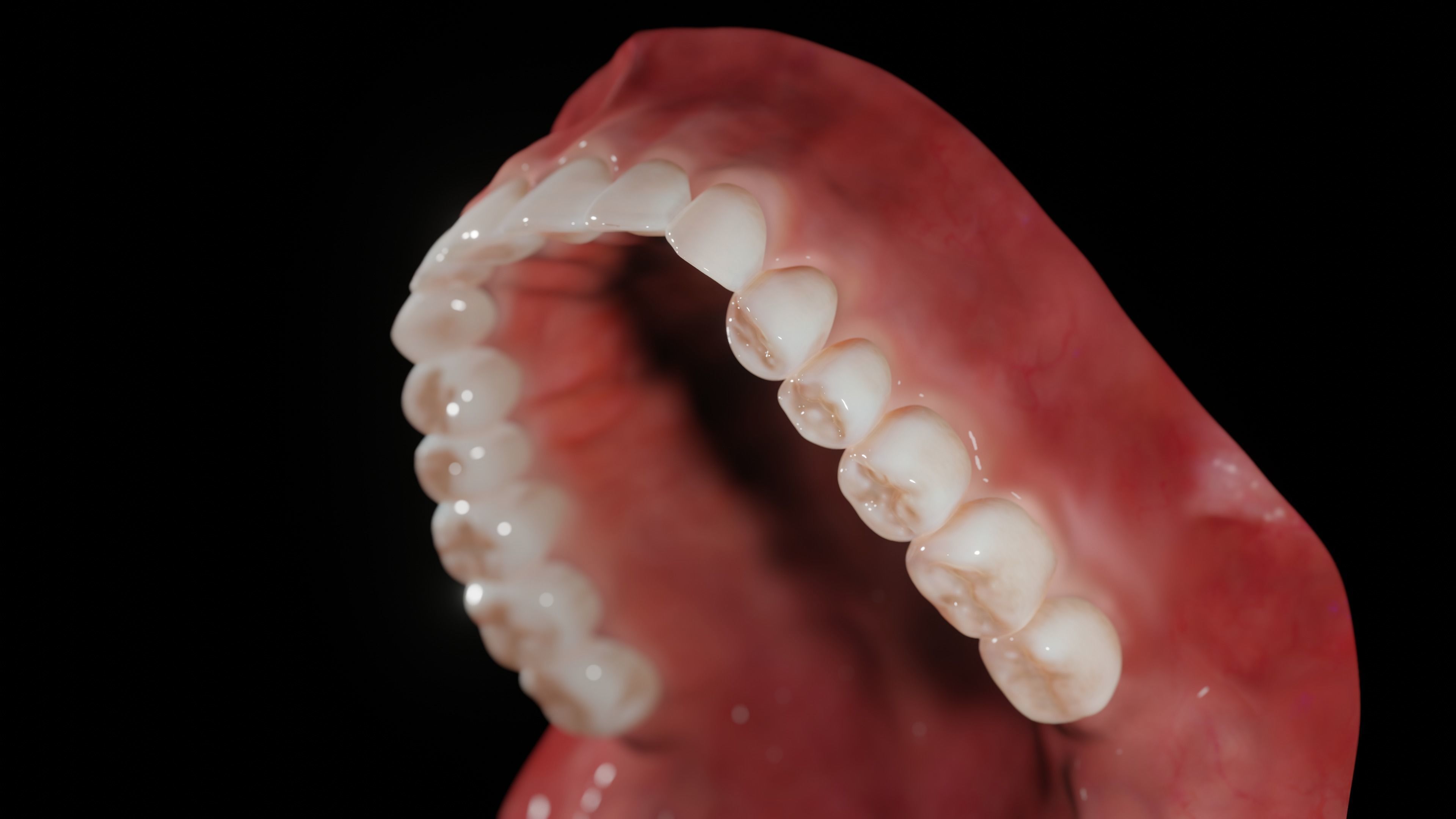 Gums with teeth mouth model  rigged textured and animated 3D model_4