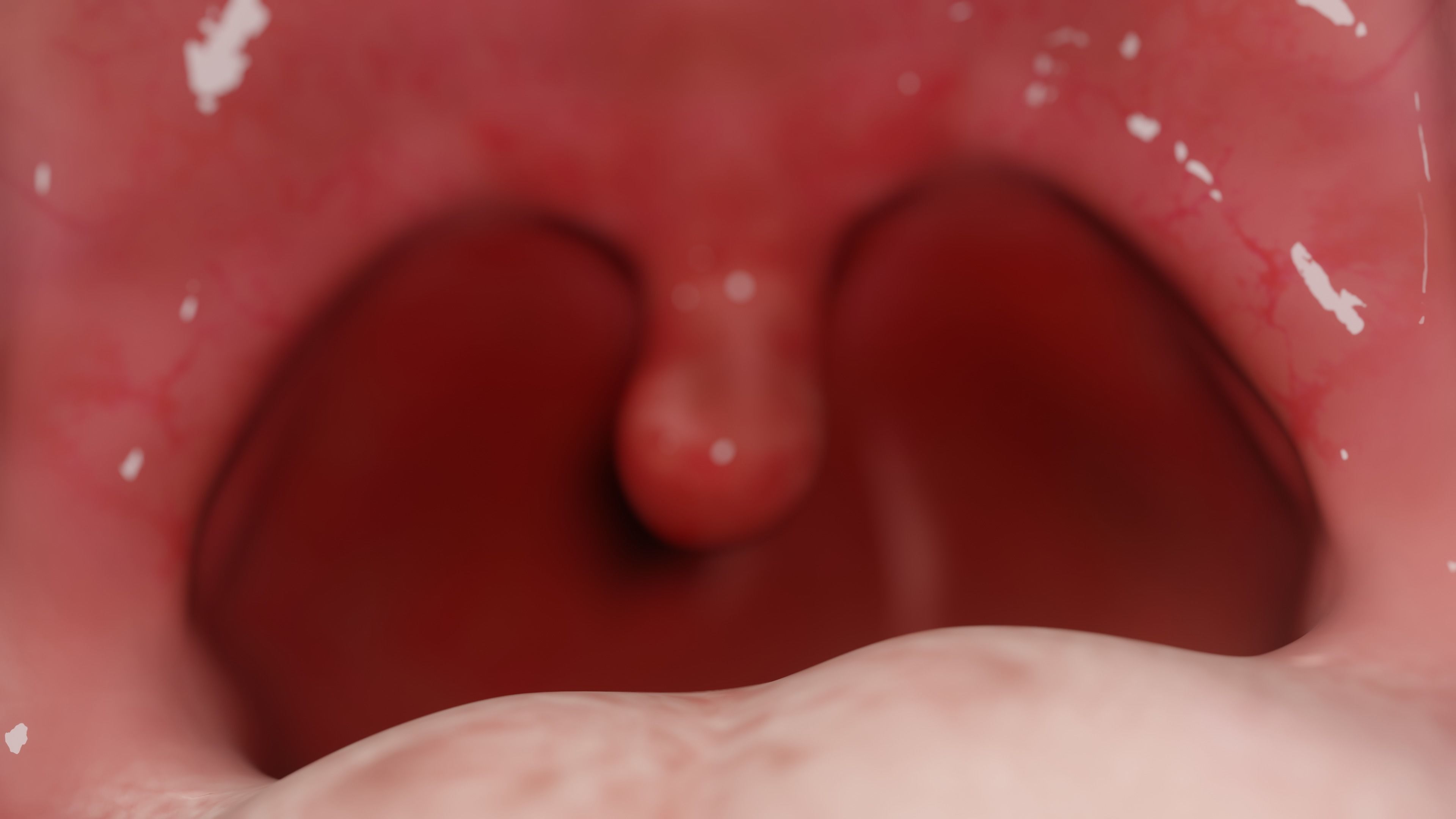 Gums with teeth mouth model  rigged textured and animated 3D model_8