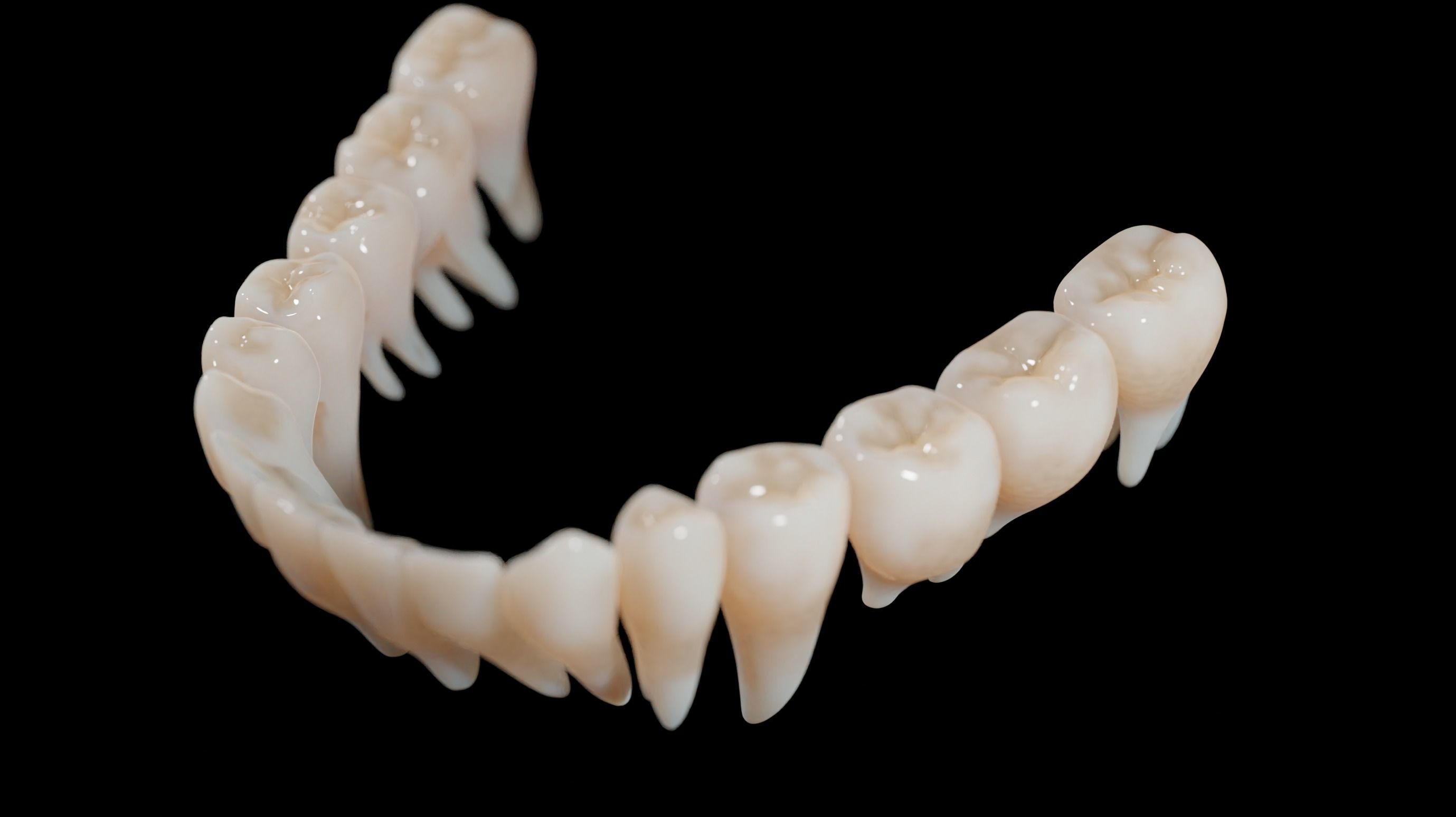 Gums with teeth mouth model  rigged textured and animated 3D model_11