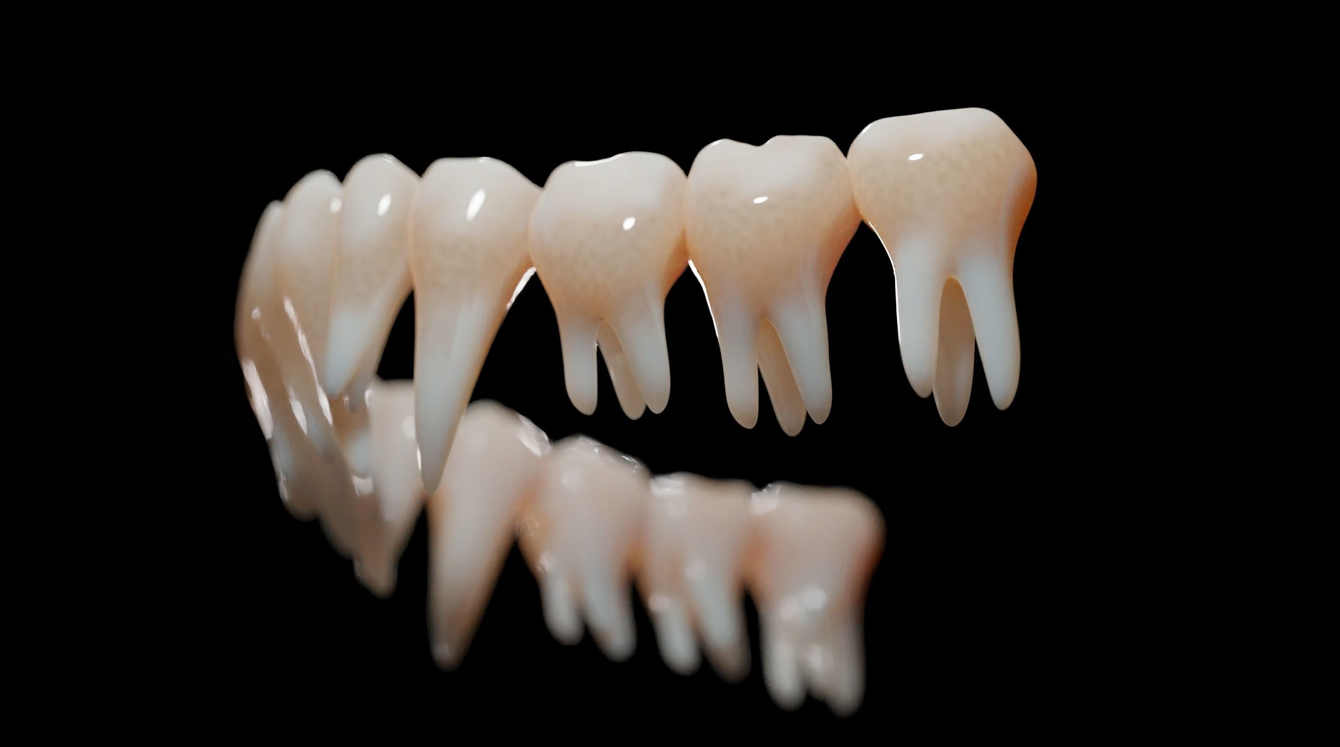 Gums with teeth mouth model  rigged textured and animated 3D model_12