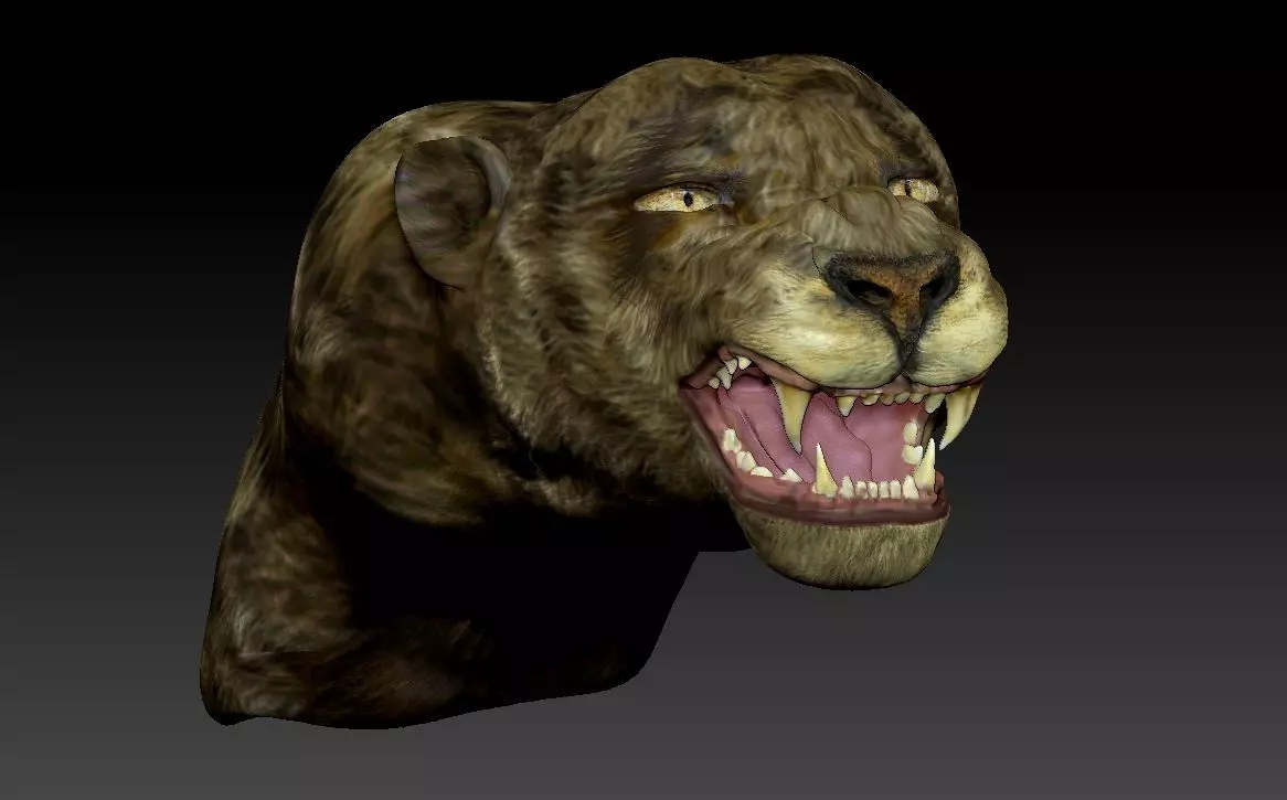 Cat bust 3D model