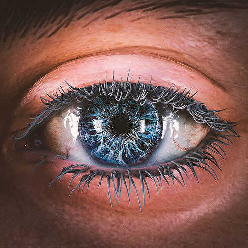 Realistic Eye close up of human 3D model