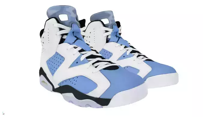 Nike Air Jordan 6 retro high