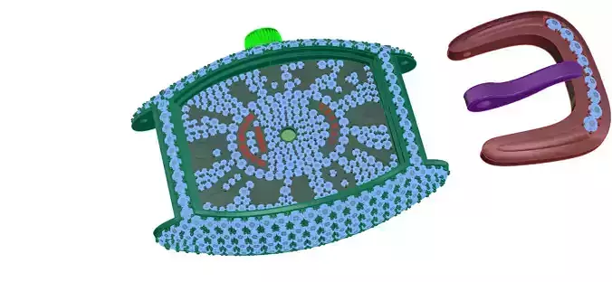 watch clock made of polymers