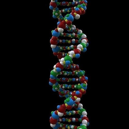 DNA Double helix structure 3D model