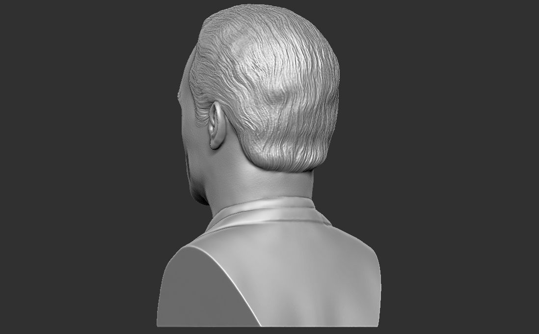 Matthew McConaughey bust for 3D printing 3D print model_5