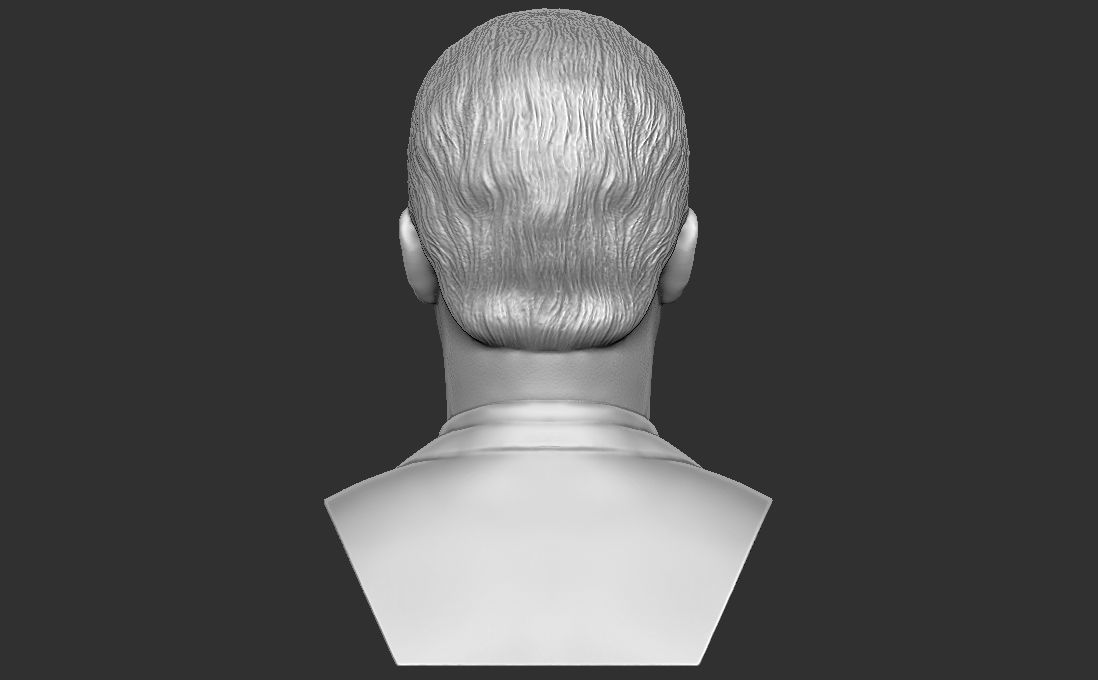 Matthew McConaughey bust for 3D printing 3D print model_6