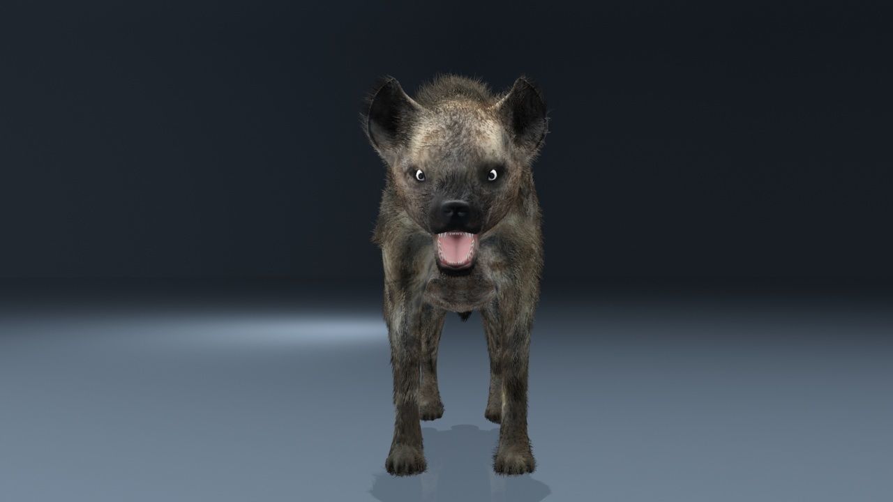This is a low-polygonal model of hyenas 3D model_1