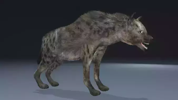 This is a low-polygonal model of hyenas 3D model