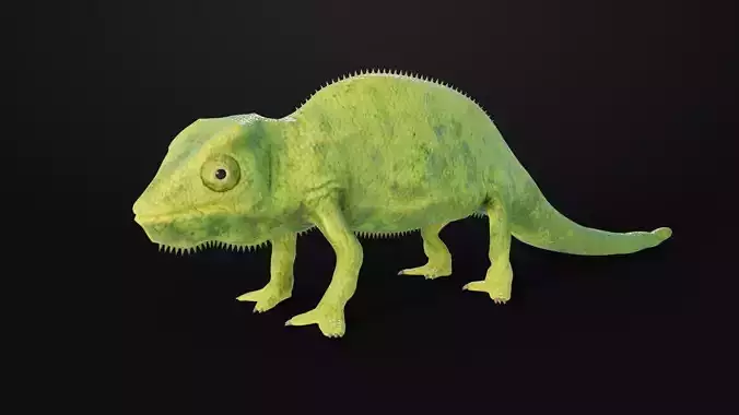 Chameleon