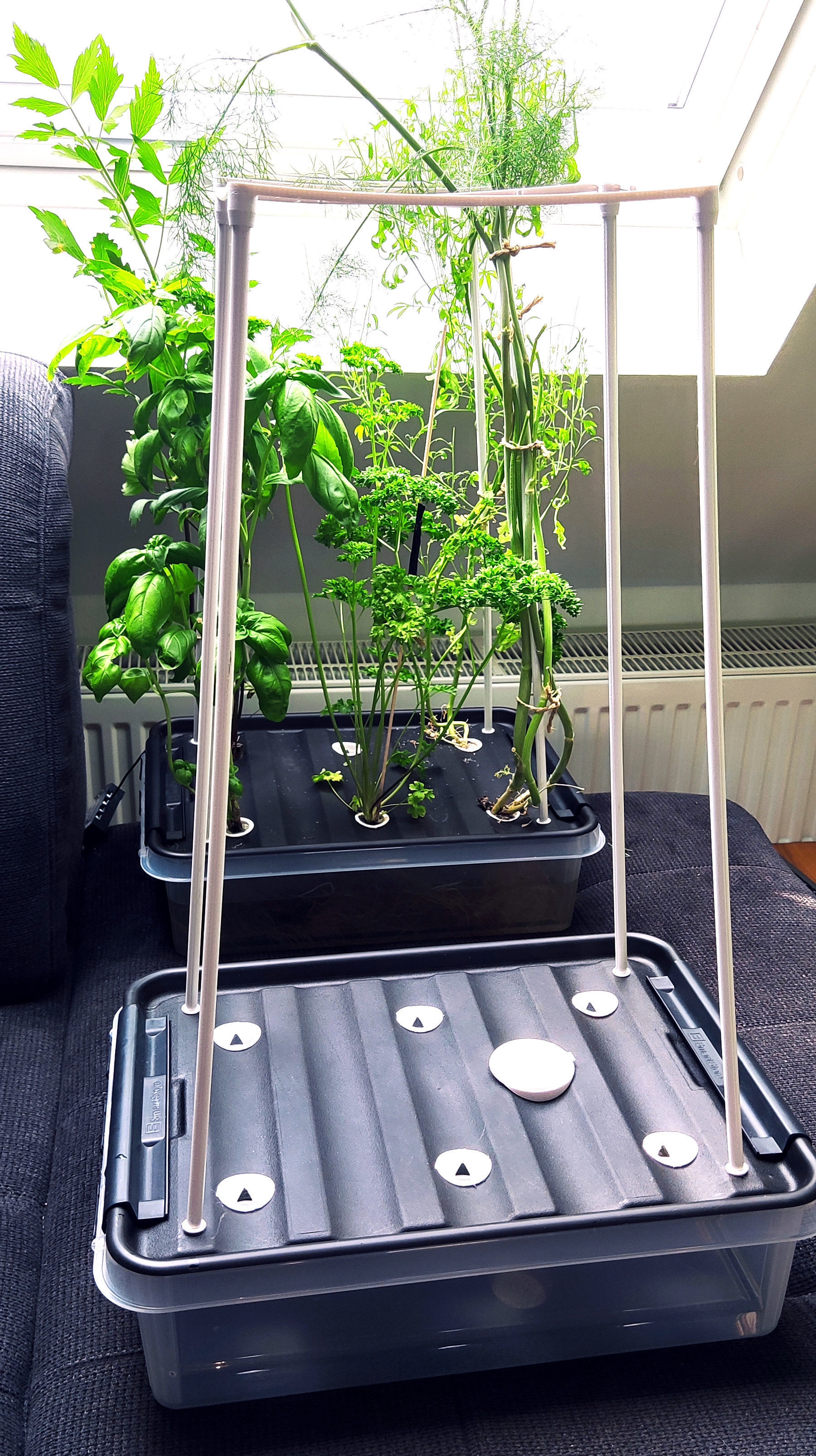 Full Hydroponic DIY Set - For up to 6 large Plants 3D print model_1
