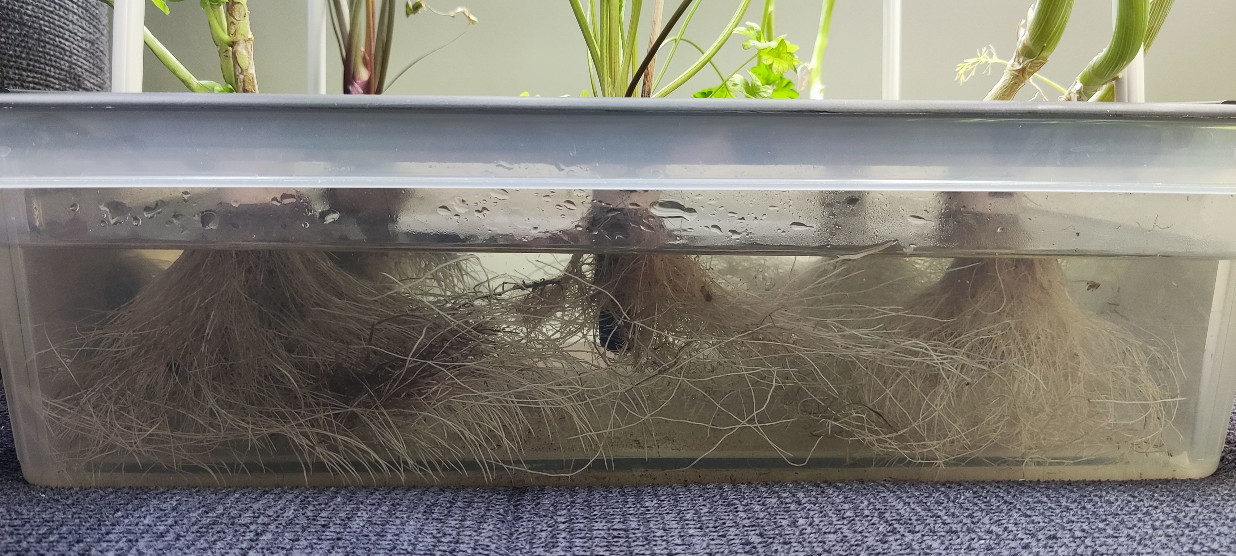 Full Hydroponic DIY Set - For up to 6 large Plants 3D print model_4