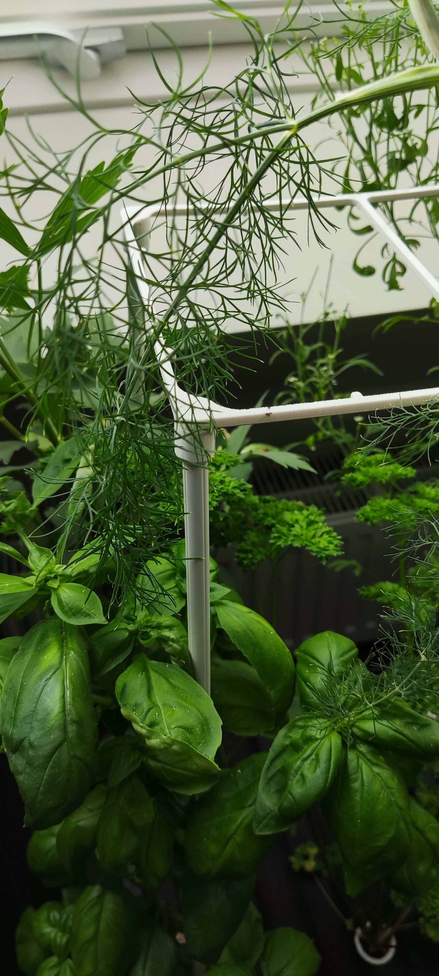 Full Hydroponic DIY Set - For up to 6 large Plants 3D print model_5