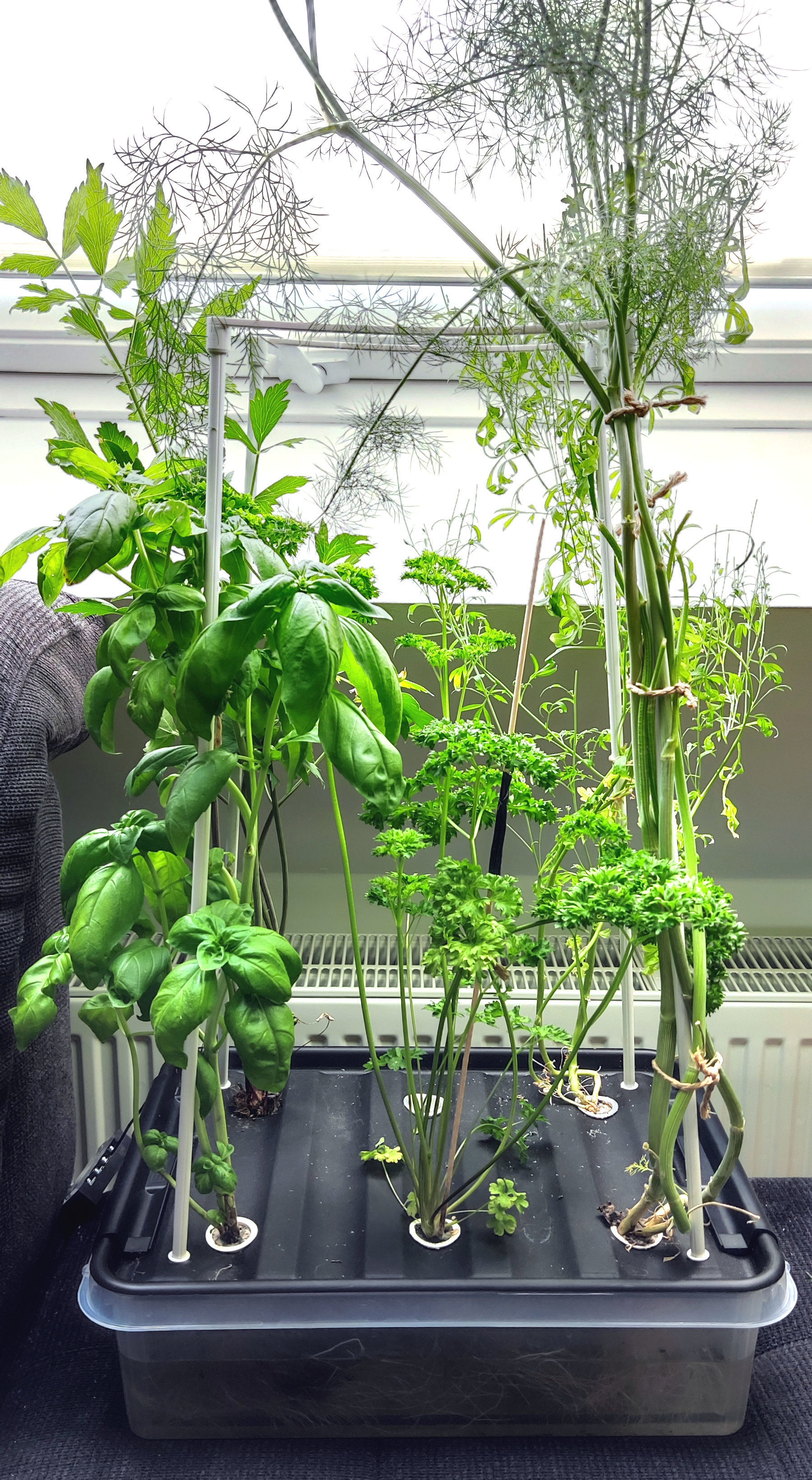 Full Hydroponic DIY Set - For up to 6 large Plants 3D print model_6