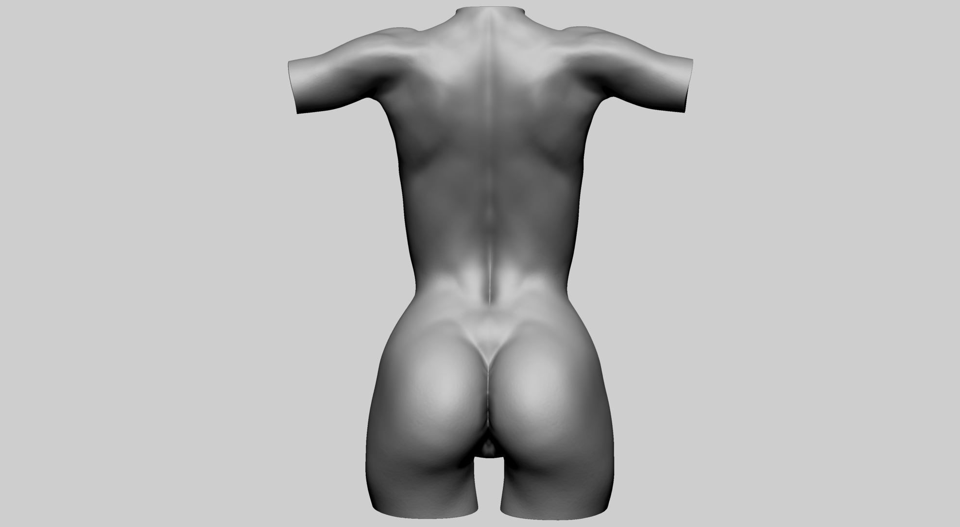 Female Torso A 3D model_5