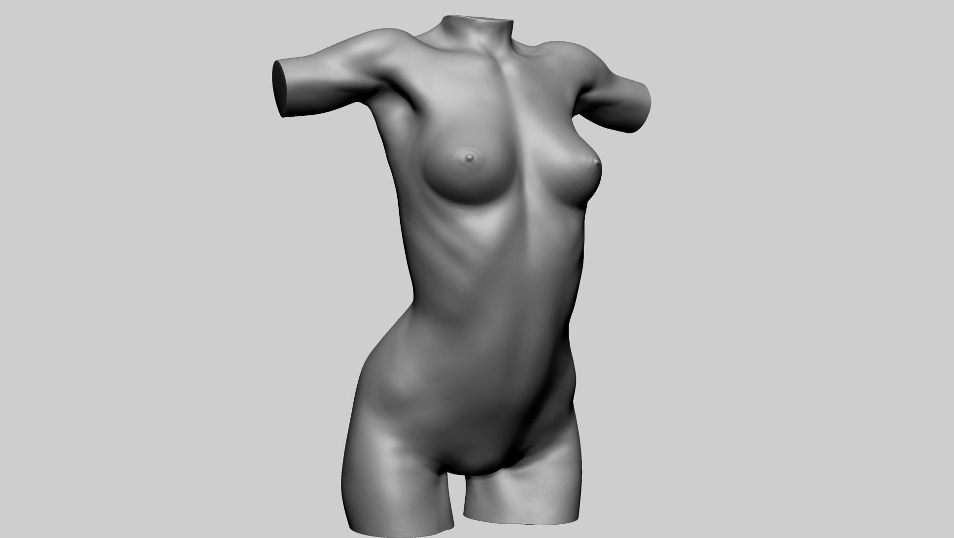 Female Torso A 3D model_2