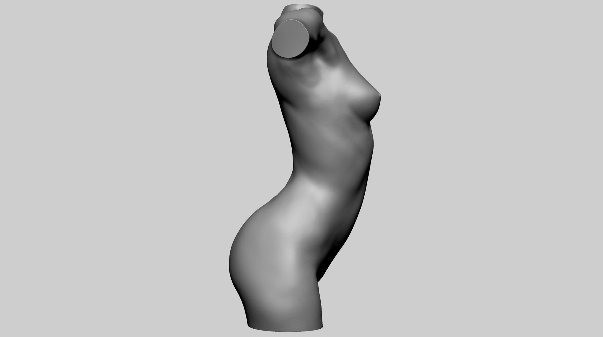 Female Torso A 3D model_3