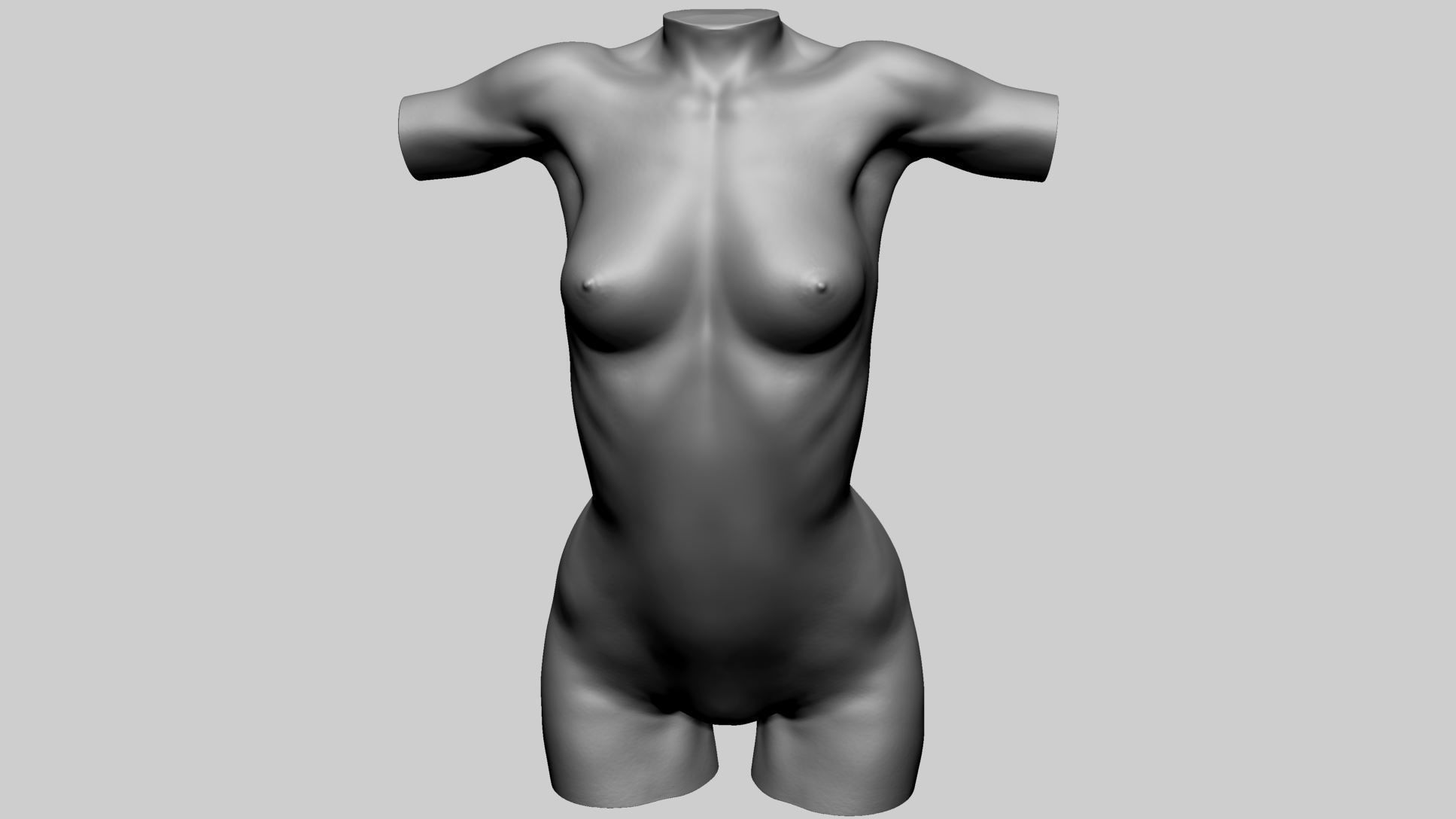 Female Torso A 3D model_8