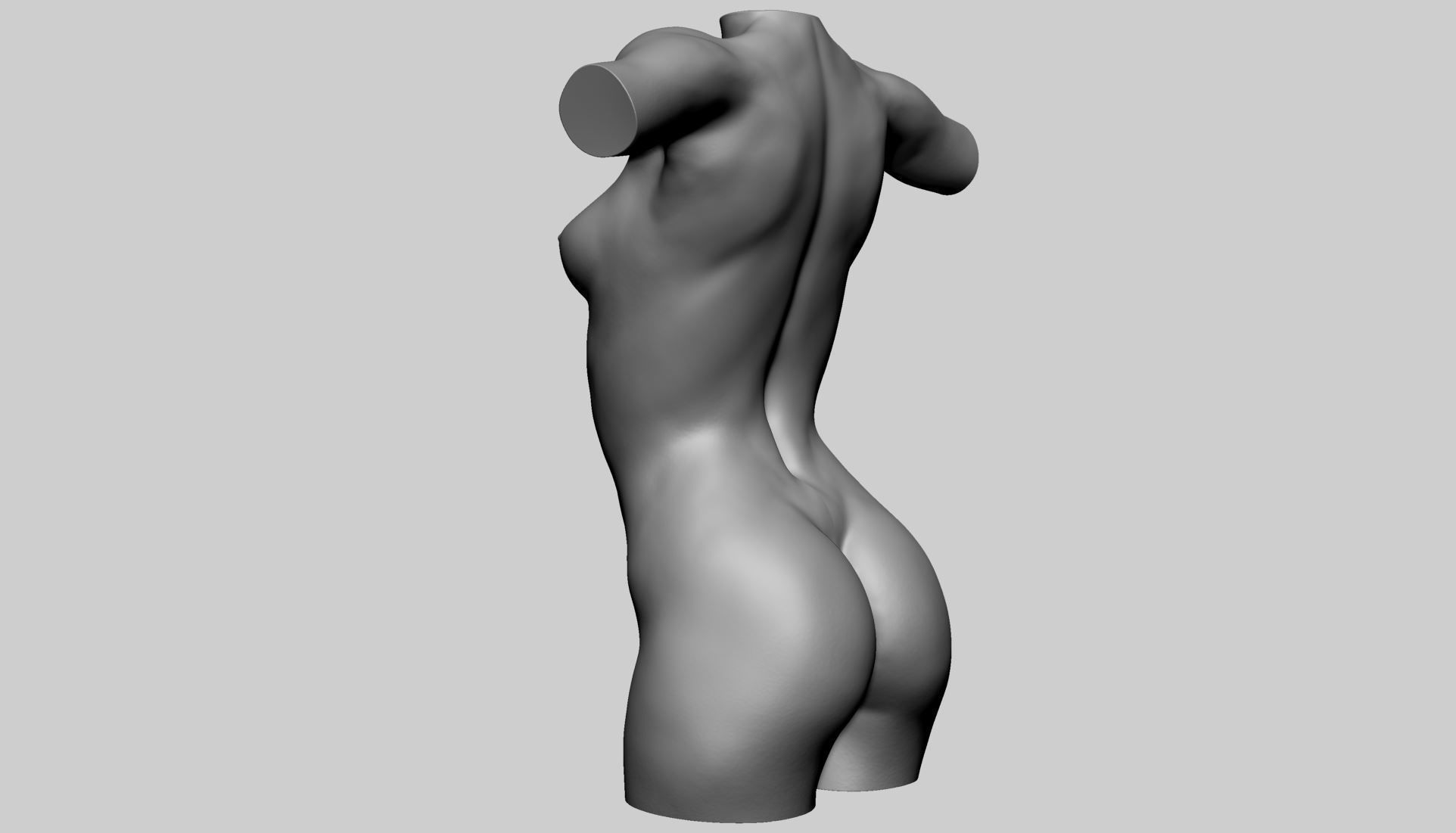 Female Torso A 3D model_6
