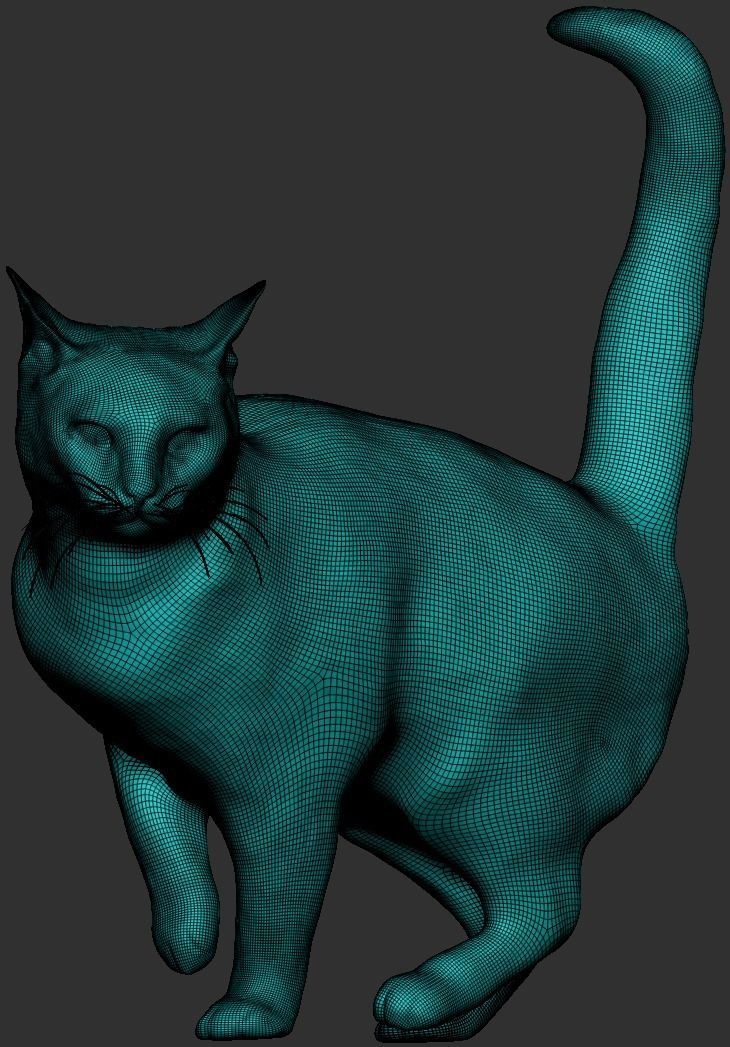 Cat 25 Low-poly 3D model_7