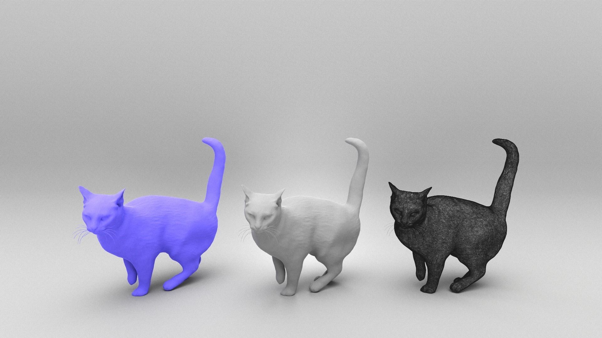 Cat 25 Low-poly 3D model_4