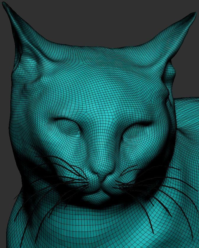 Cat 25 Low-poly 3D model_8