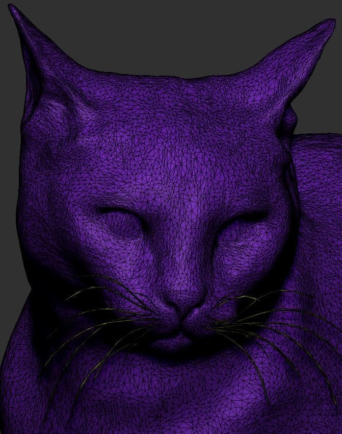 Cat 25 Low-poly 3D model_6