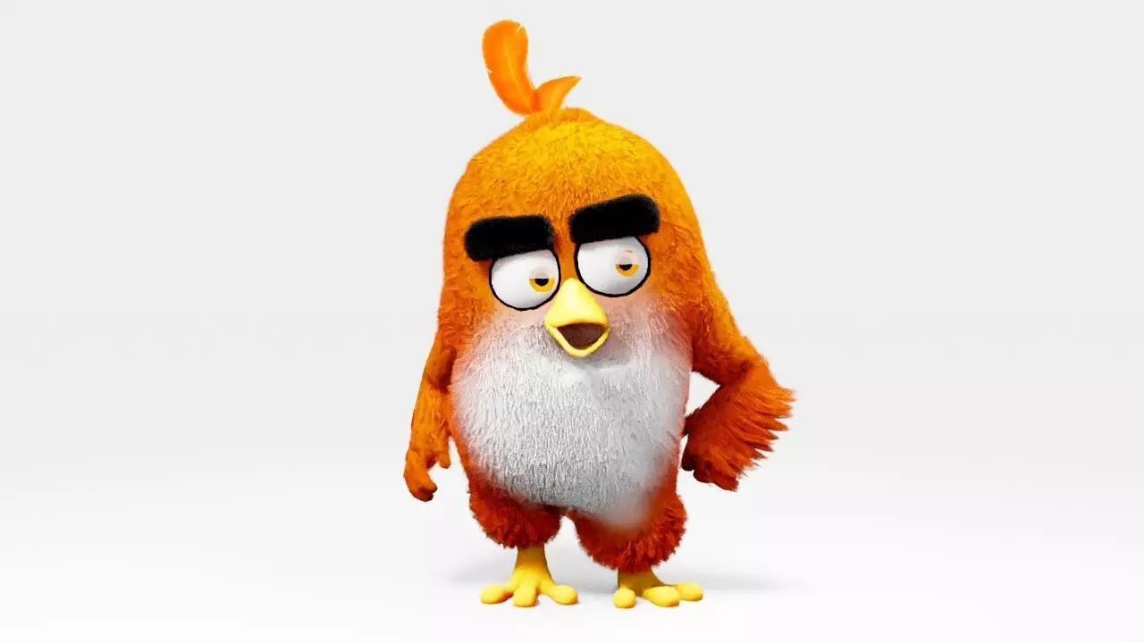 Angry bird  rigged character 3D model_0