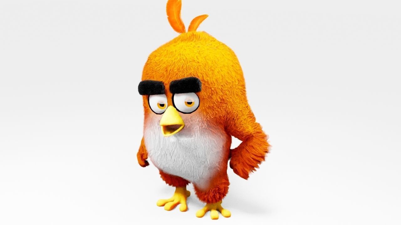Angry bird  rigged character 3D model_5