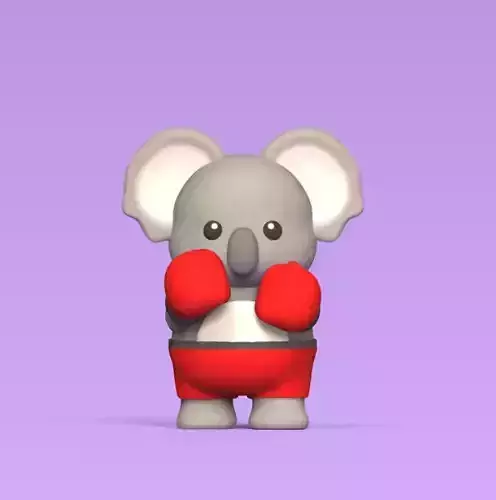 Koala Boxe