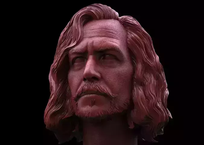 Sirius Black Head-Garry Oldman  3D print model