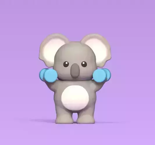 Koala Working Out