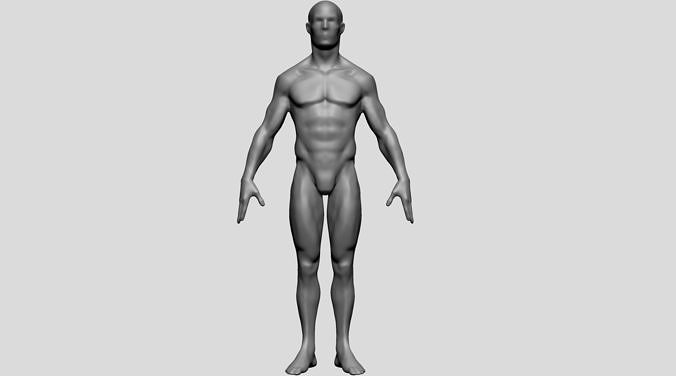 Male Body Form 3D model