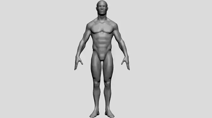 Male Body Form 3D model